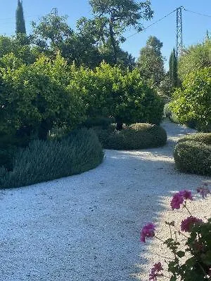 Molino Estepona