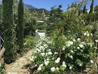 Molino * אסטפונה