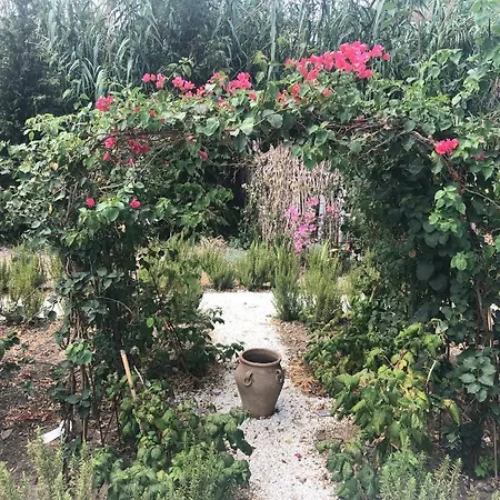 Molino Guest house 4*