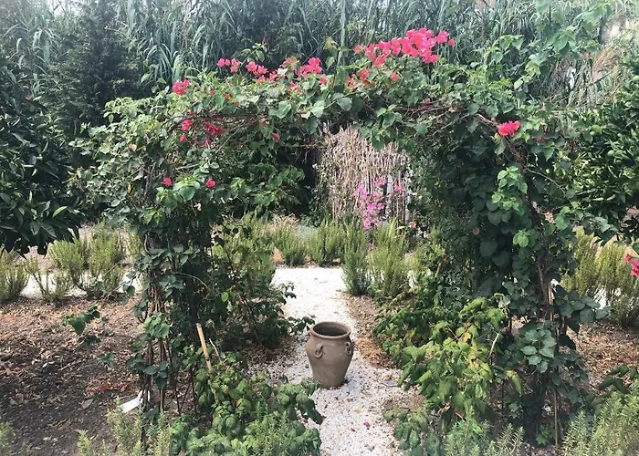 Molino Guest house 4*